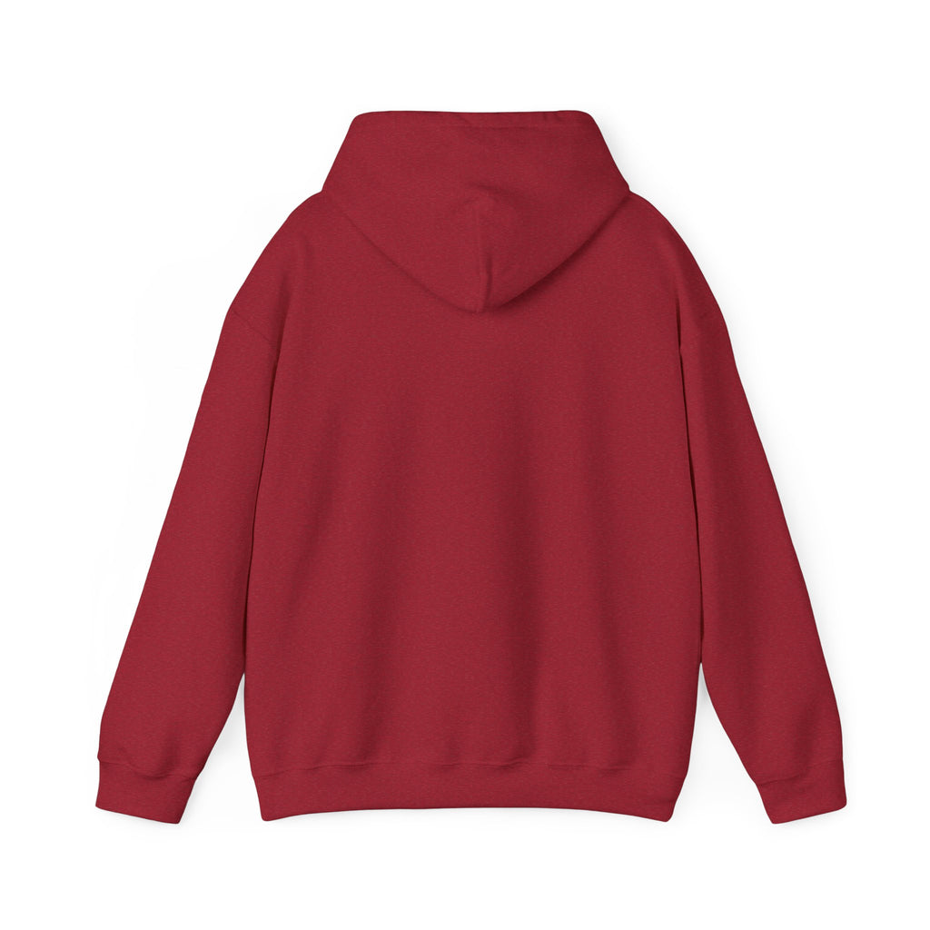 Feral Raccoon Hoodie — Wild Raccoon Graphic Sweatshirt