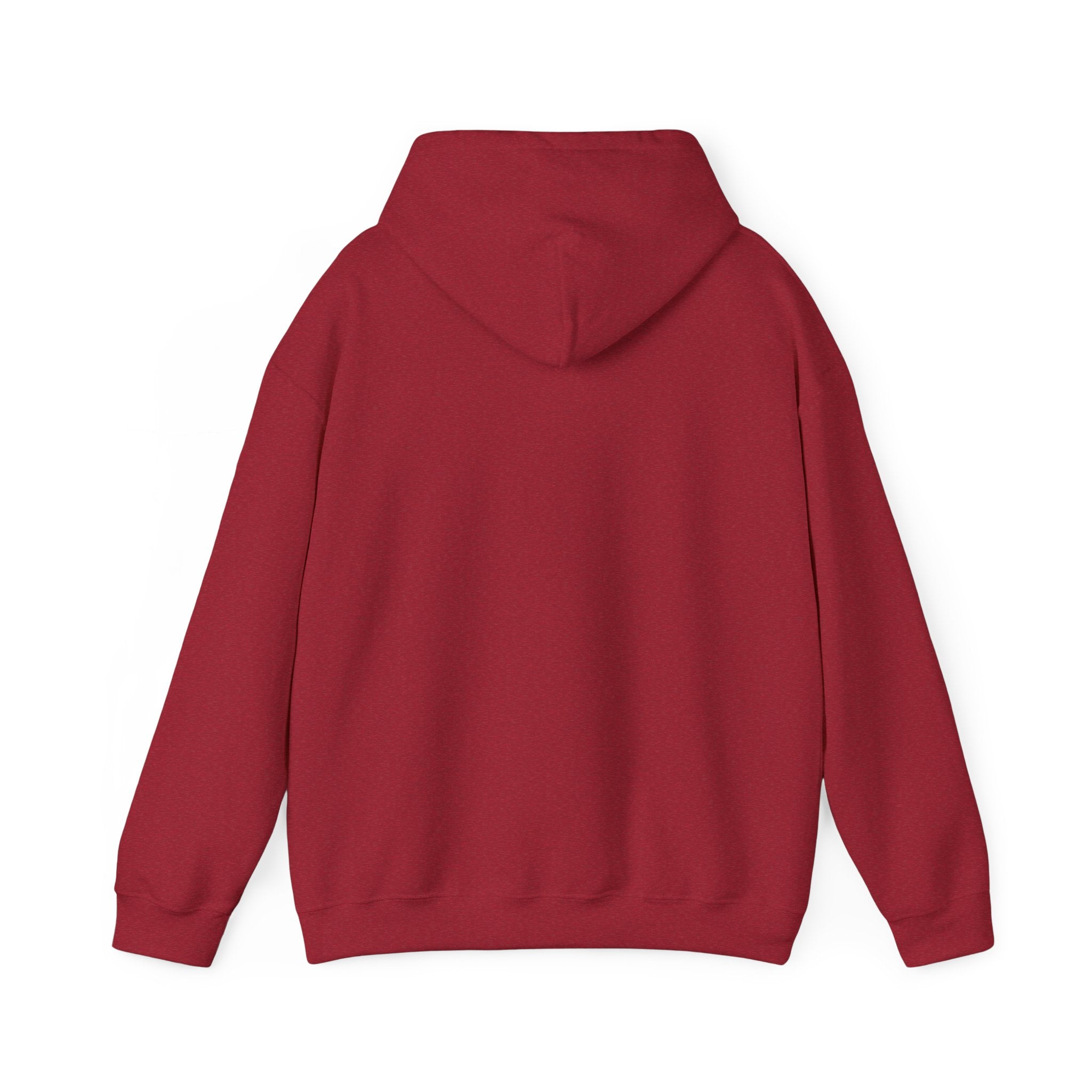 Feral Raccoon Hoodie — Wild Raccoon Graphic Sweatshirt