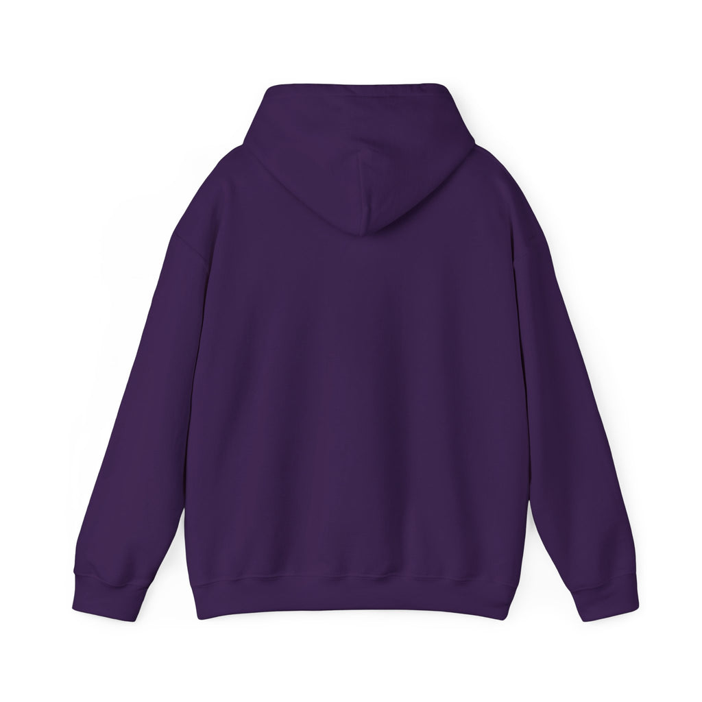Feral Raccoon Hoodie — Wild Raccoon Graphic Sweatshirt