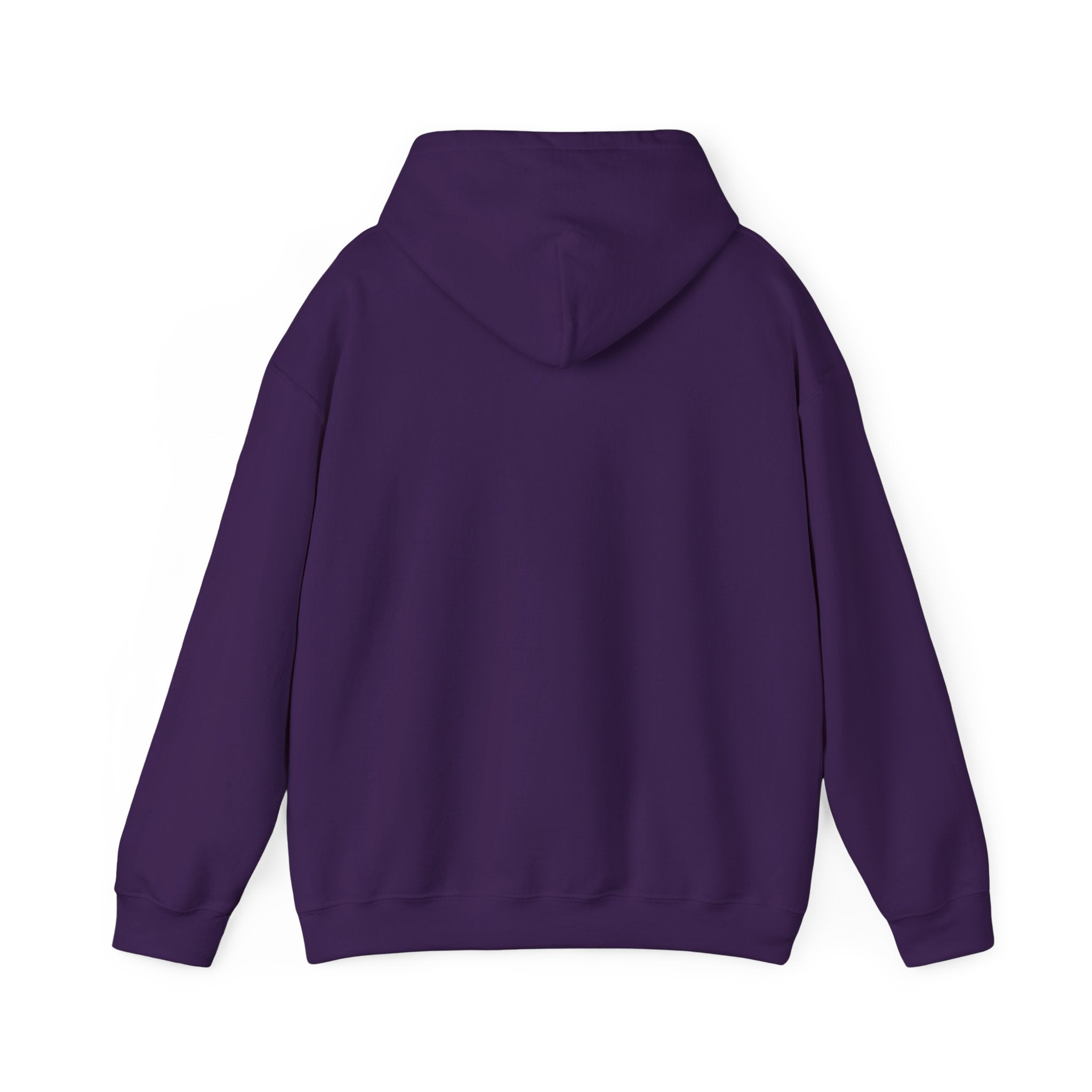 Feral Raccoon Hoodie — Wild Raccoon Graphic Sweatshirt