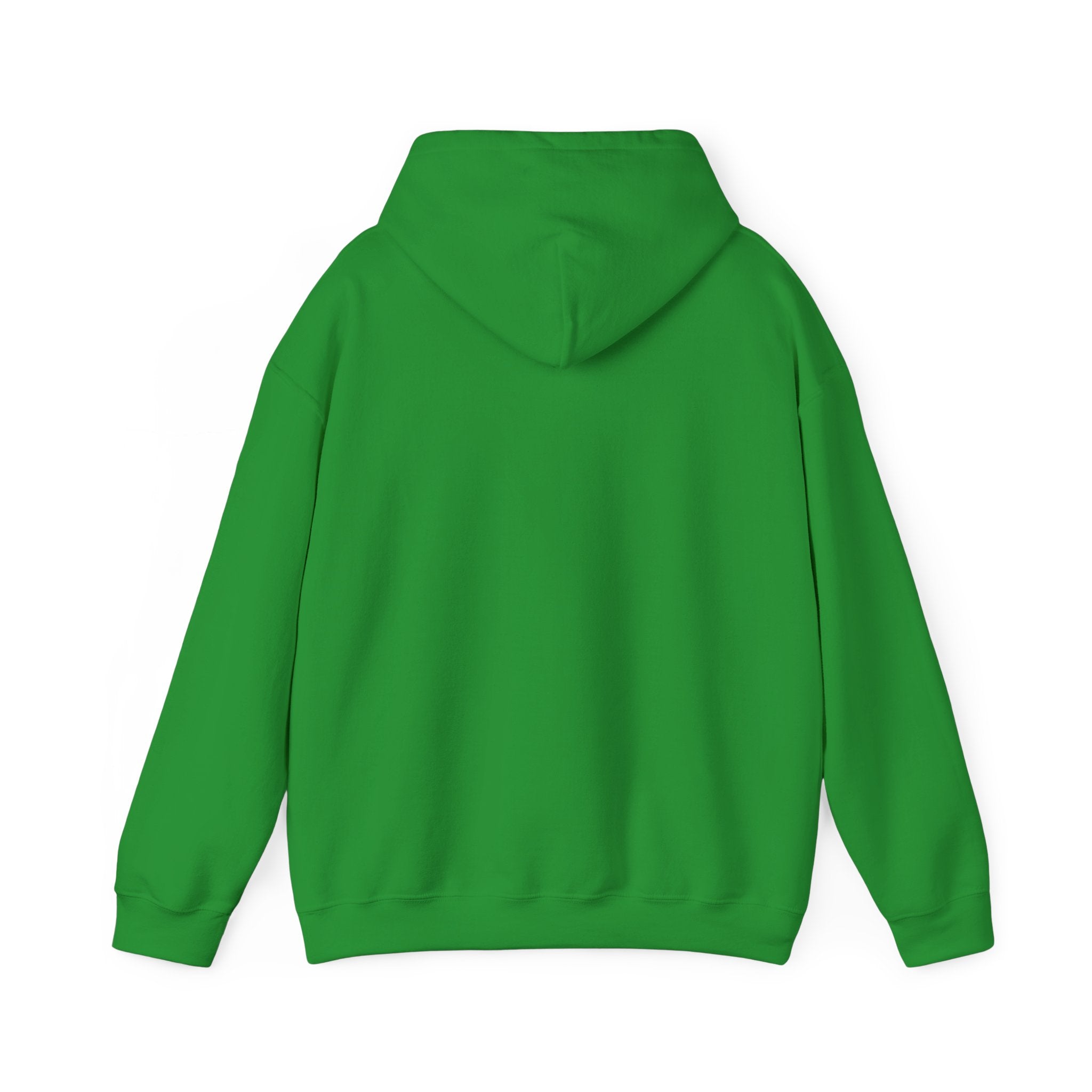 Feral Raccoon Hoodie — Wild Raccoon Graphic Sweatshirt
