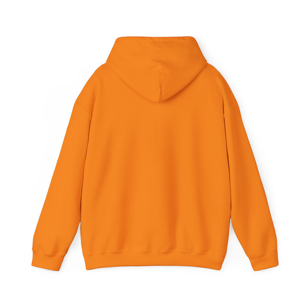 Feral Raccoon Hoodie — Wild Raccoon Graphic Sweatshirt