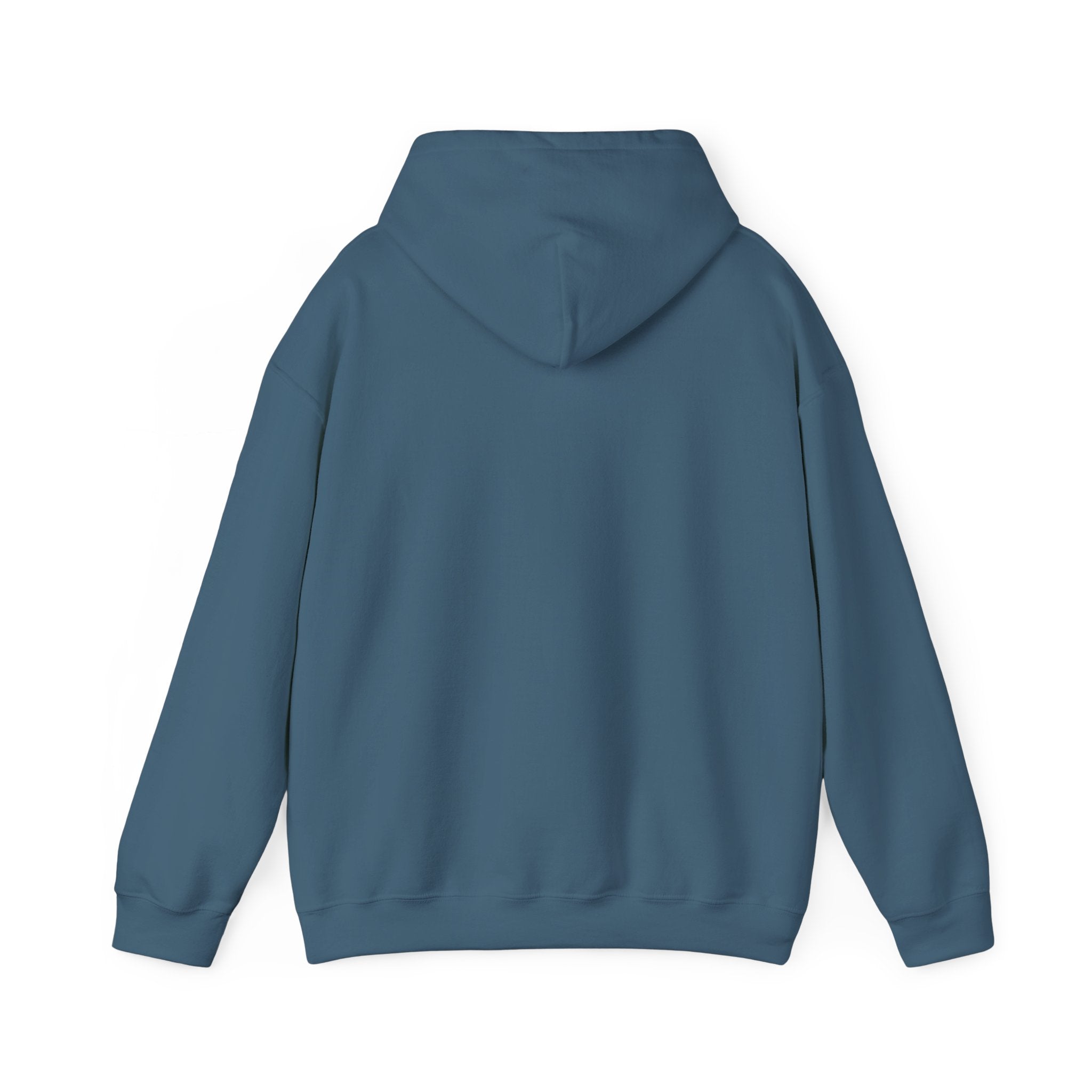 Feral Raccoon Hoodie — Wild Raccoon Graphic Sweatshirt
