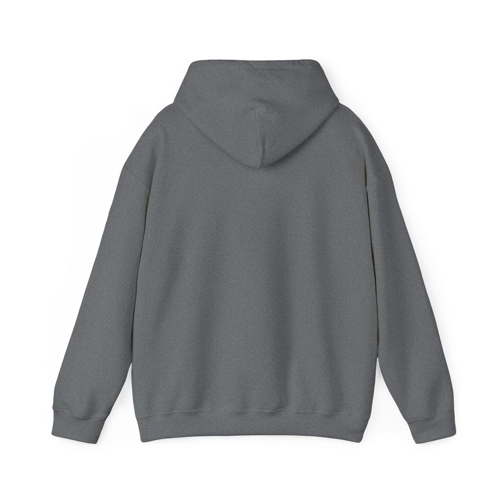 Feral Raccoon Hoodie — Wild Raccoon Graphic Sweatshirt
