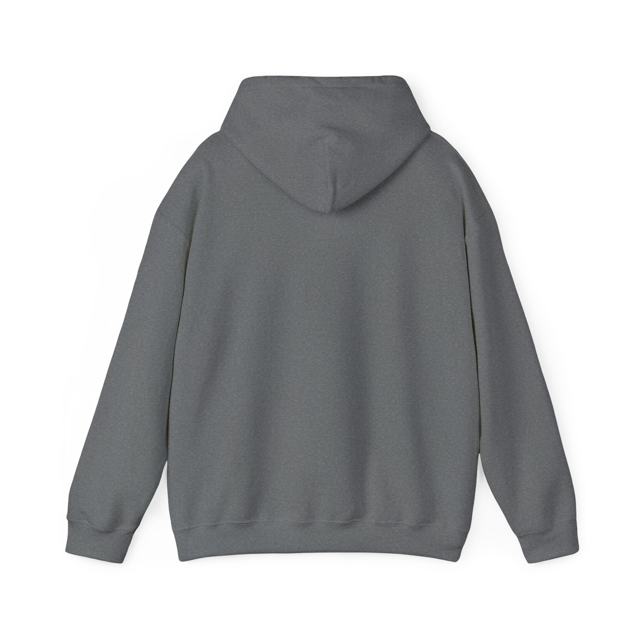 Feral Raccoon Hoodie — Wild Raccoon Graphic Sweatshirt