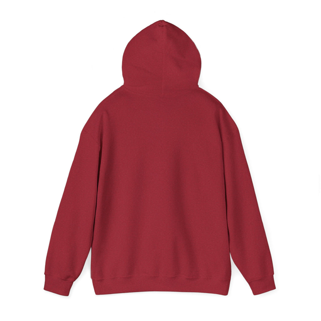 Feral Raccoon Hoodie — Wild Raccoon Graphic Sweatshirt