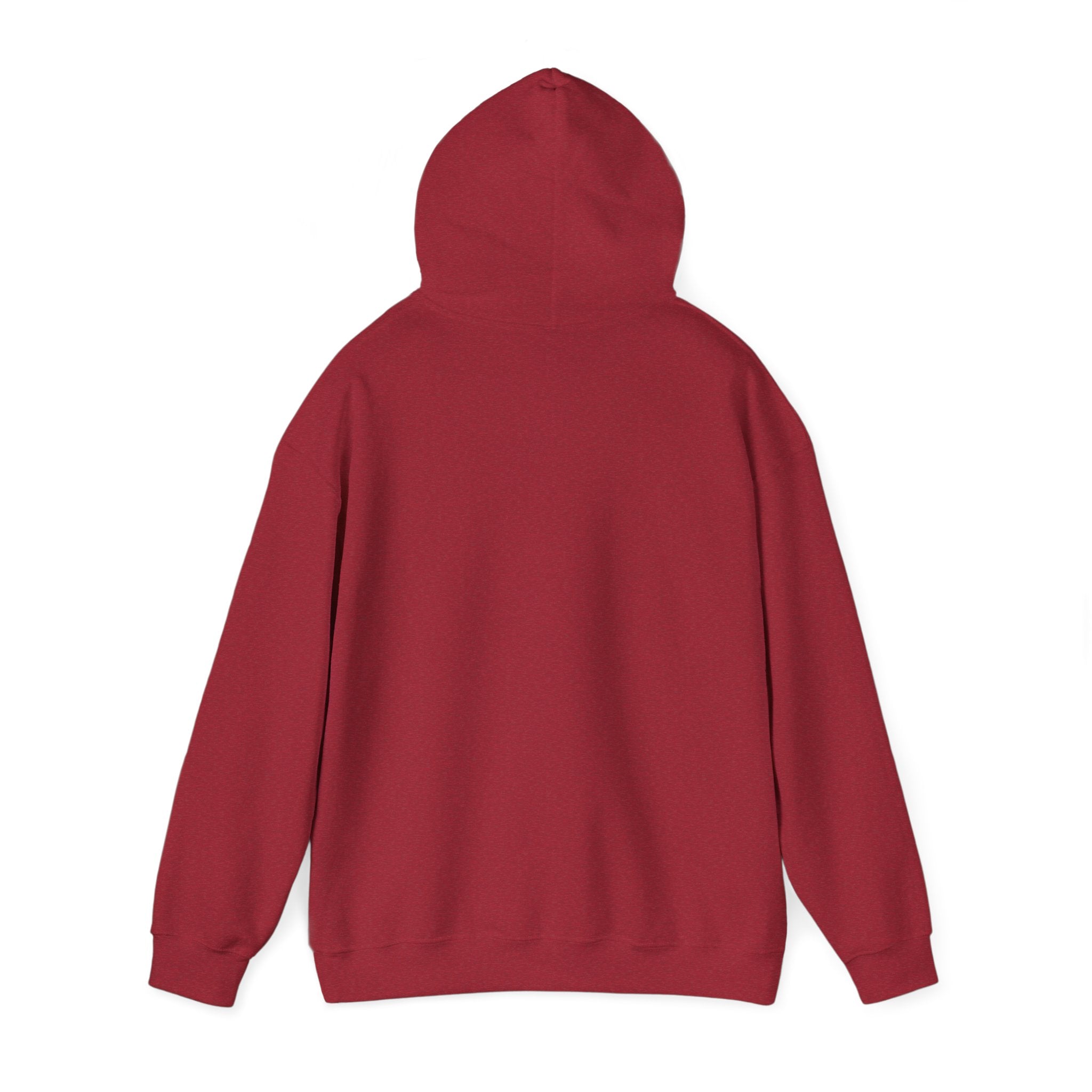 Feral Raccoon Hoodie — Wild Raccoon Graphic Sweatshirt