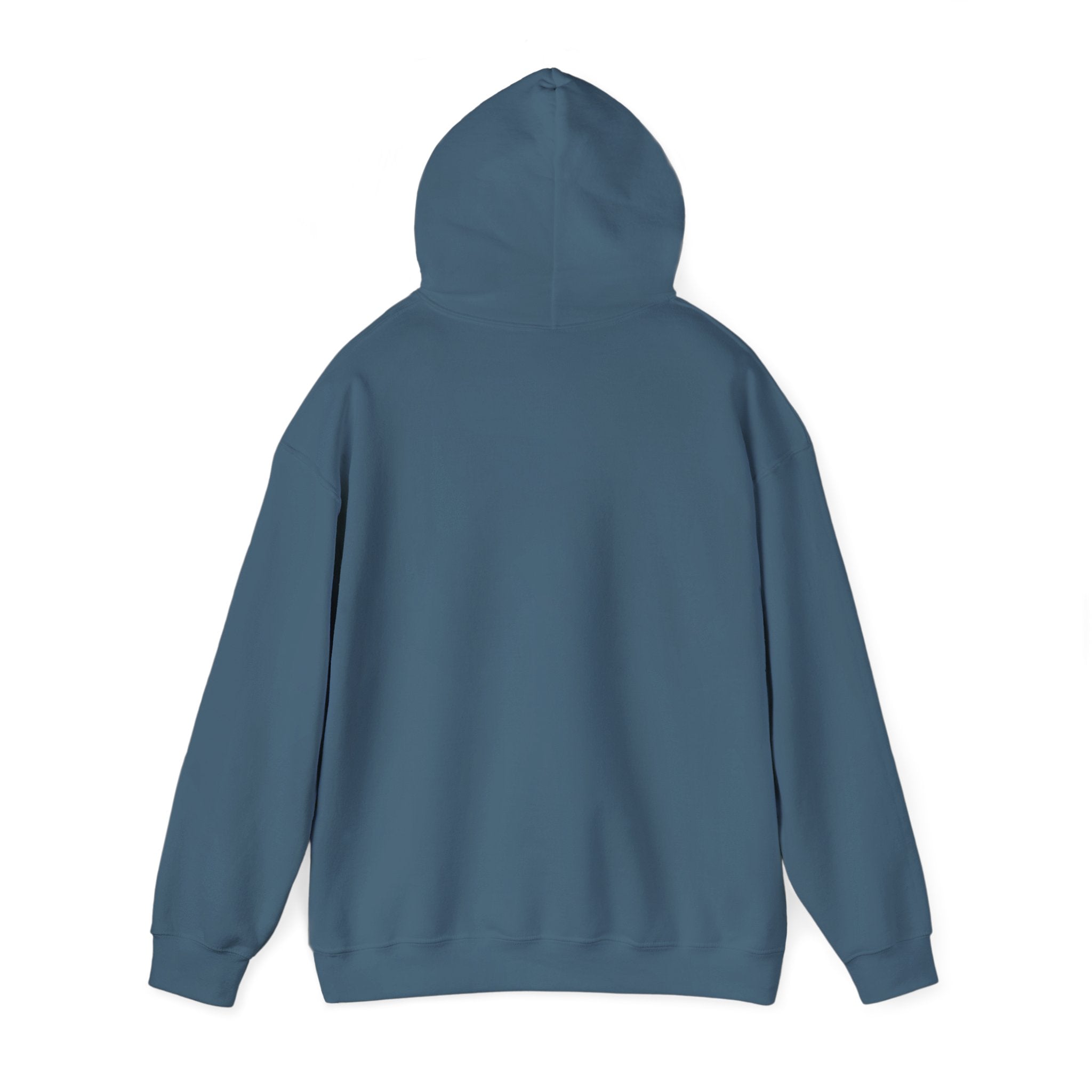 Feral Raccoon Hoodie — Wild Raccoon Graphic Sweatshirt