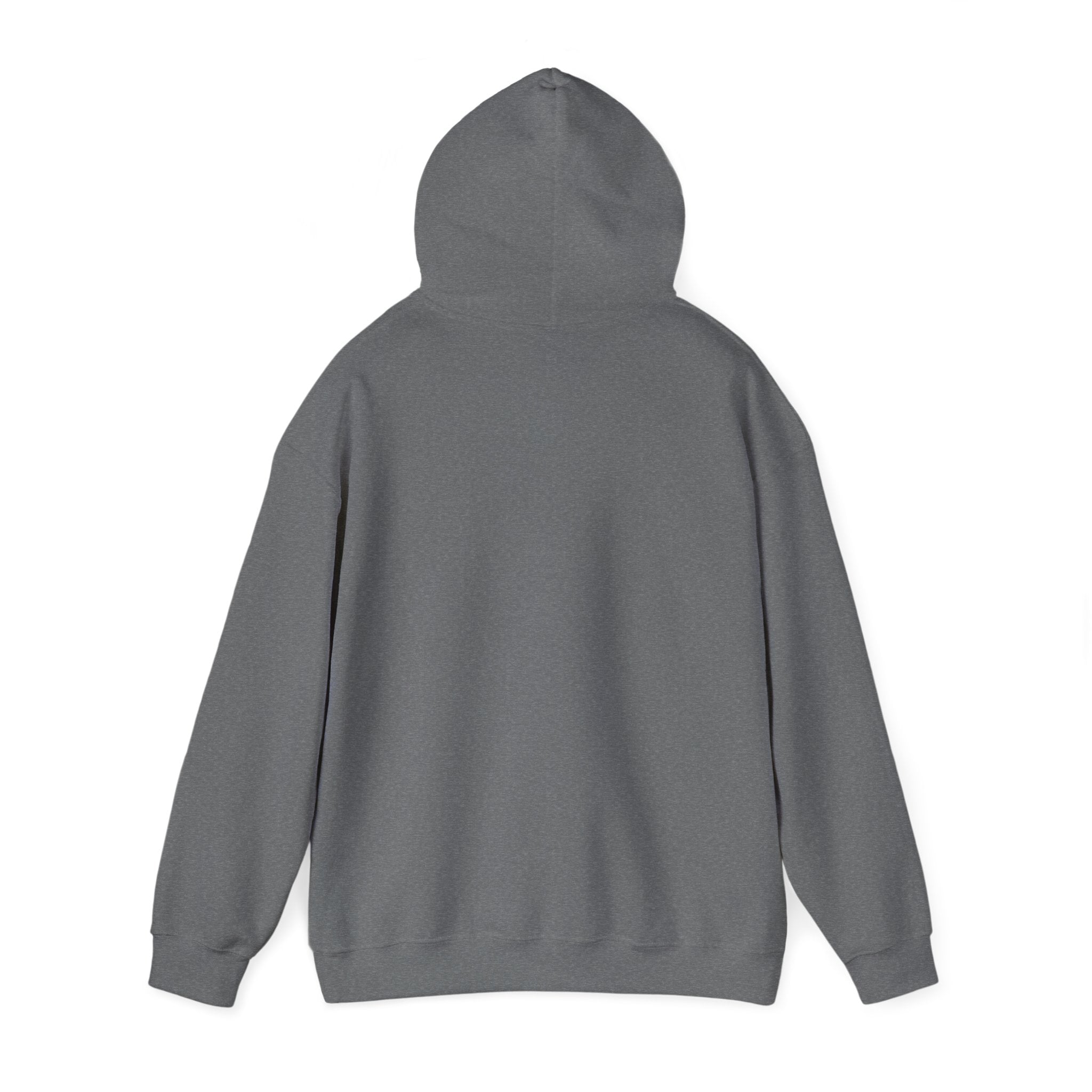 Feral Raccoon Hoodie — Wild Raccoon Graphic Sweatshirt