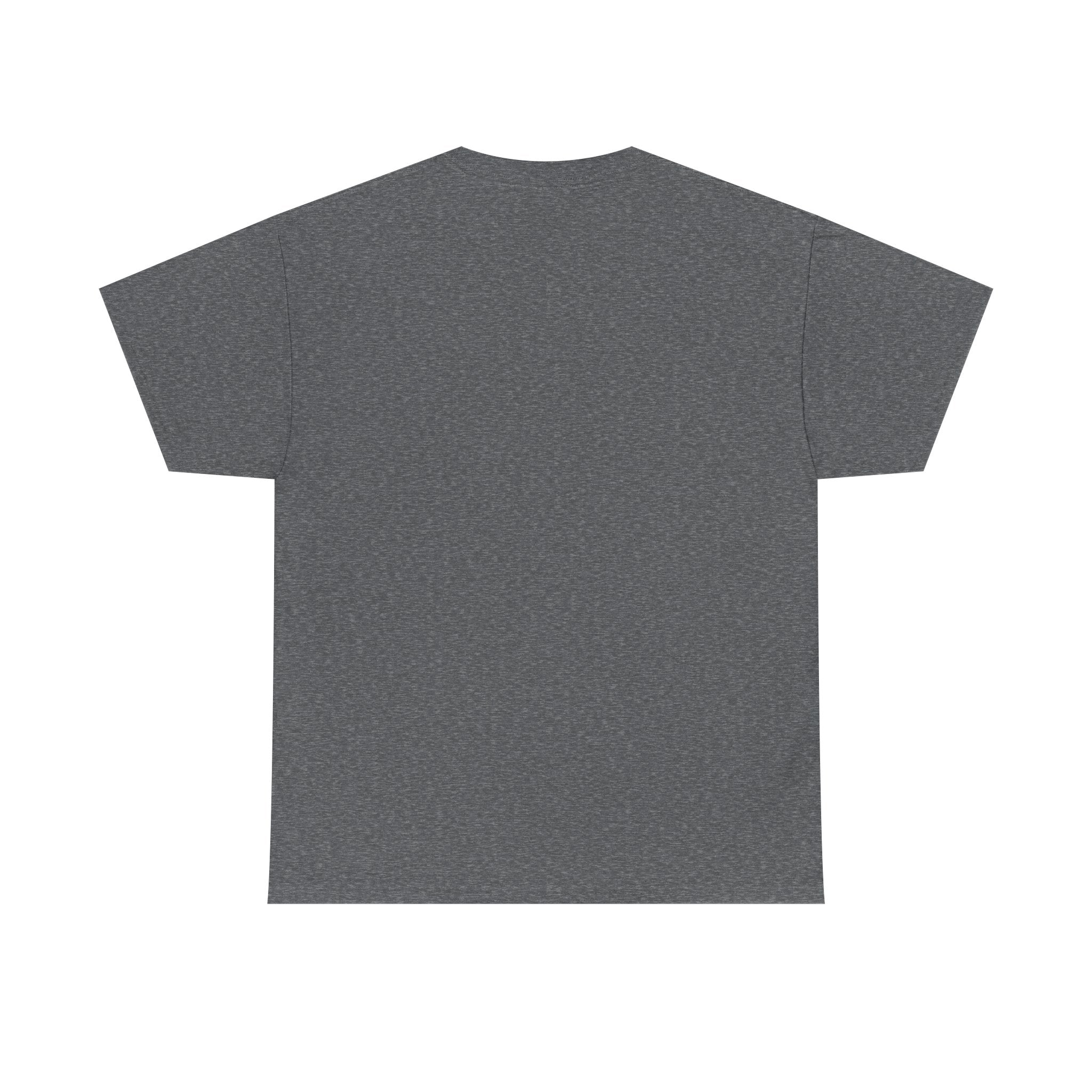 Sarcasm Defense Tee — "Sarcasm: The Body's Natural Defense Against Stupidity"