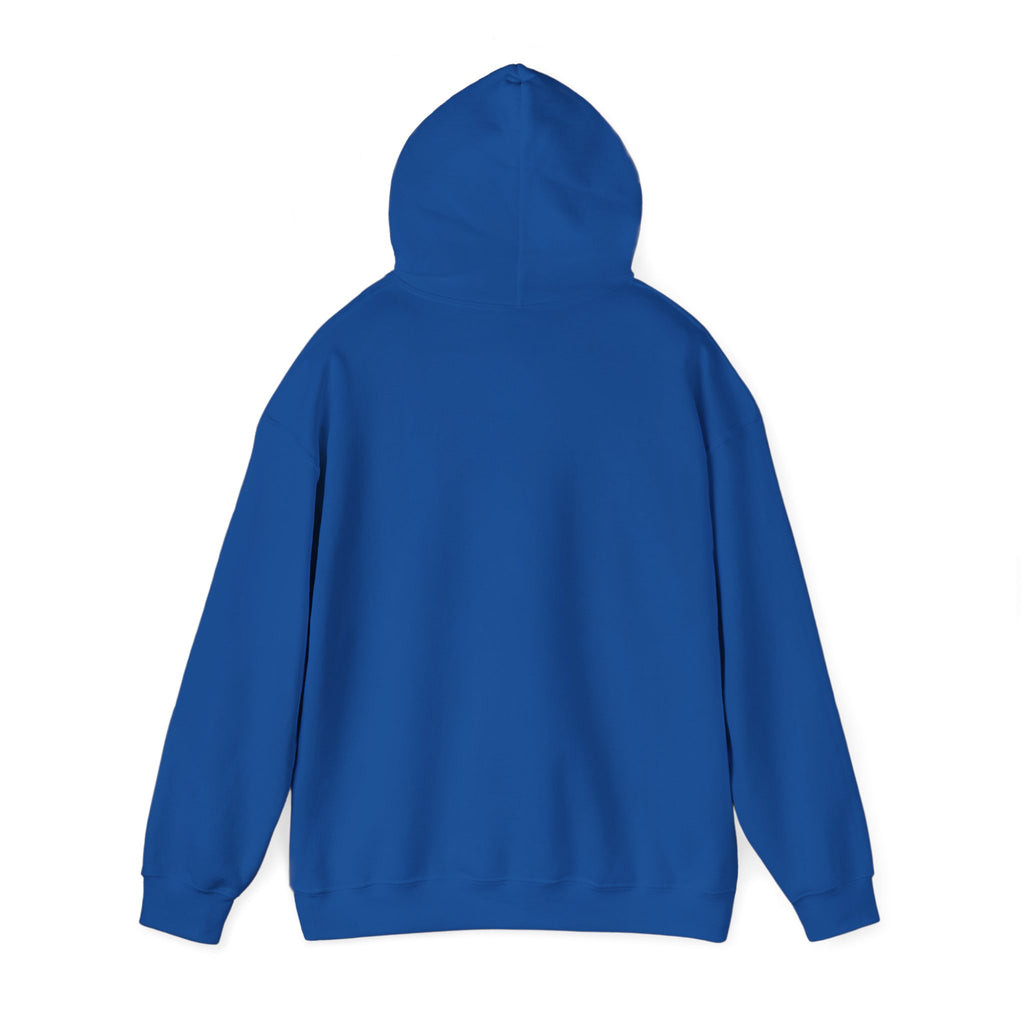 Feral Raccoon Hoodie — Wild Raccoon Graphic Sweatshirt