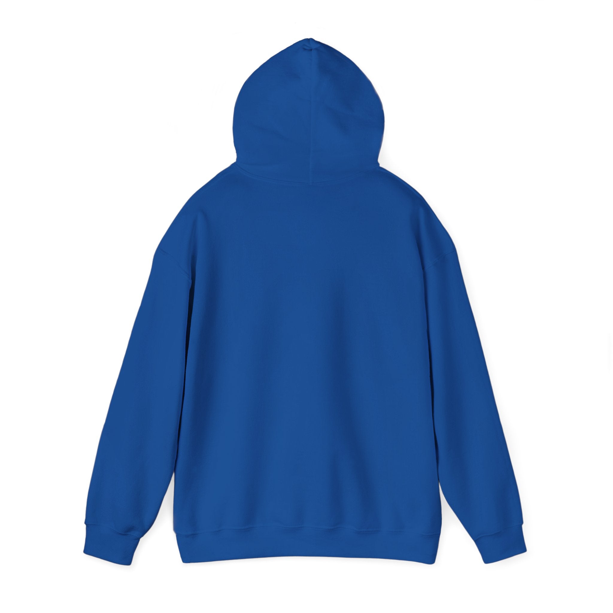 Feral Raccoon Hoodie — Wild Raccoon Graphic Sweatshirt