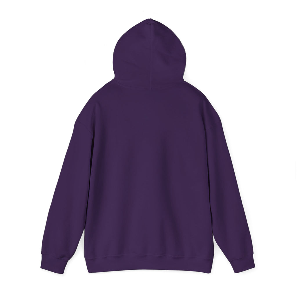 Feral Raccoon Hoodie — Wild Raccoon Graphic Sweatshirt