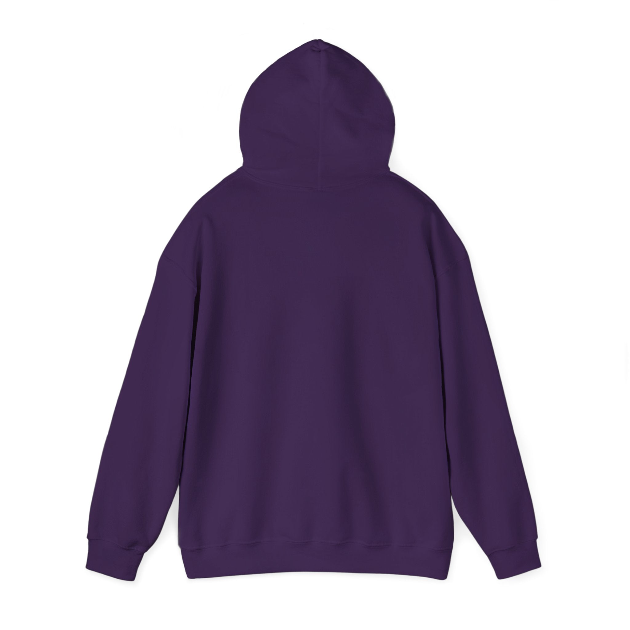 Feral Raccoon Hoodie — Wild Raccoon Graphic Sweatshirt