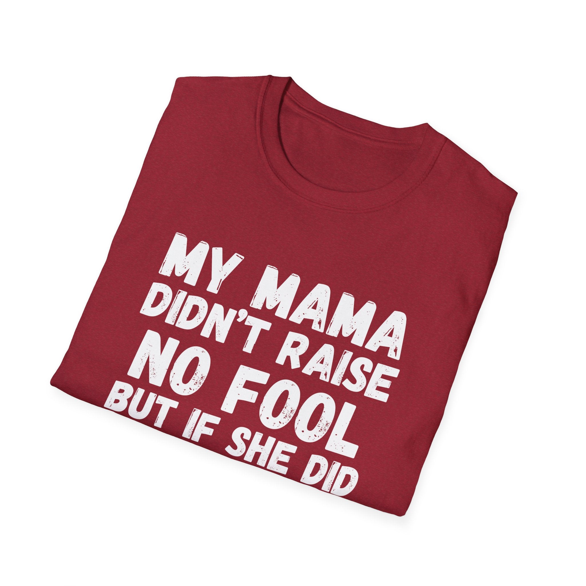 Funny Graphic T-Shirt — "My Mama Didn't Raise No Fool But If She Did It Was My Brother"