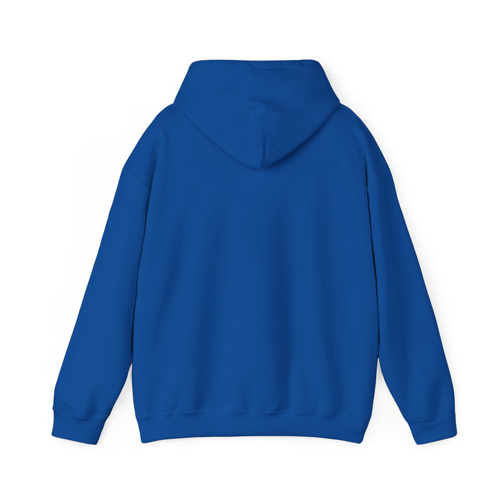 Feral Raccoon Hoodie — Wild Raccoon Graphic Sweatshirt