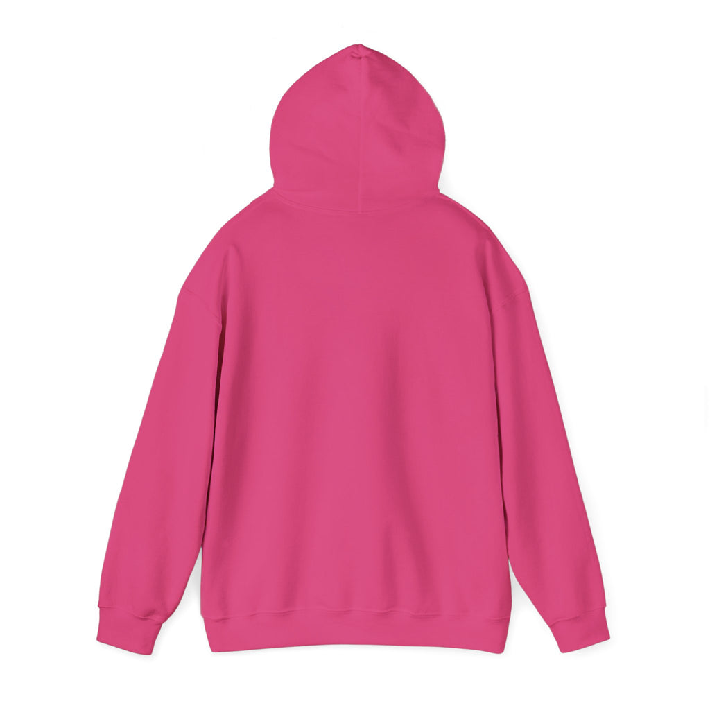 Feral Raccoon Hoodie — Wild Raccoon Graphic Sweatshirt
