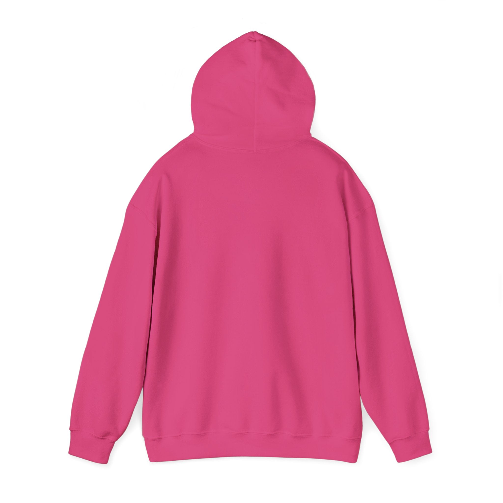 Feral Raccoon Hoodie — Wild Raccoon Graphic Sweatshirt