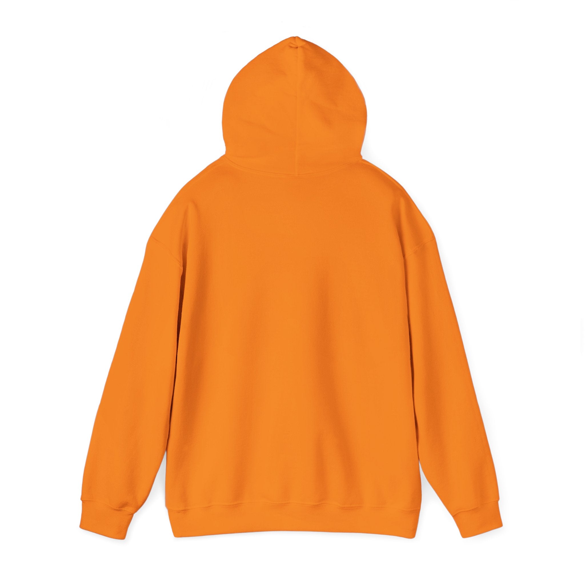 Feral Raccoon Hoodie — Wild Raccoon Graphic Sweatshirt